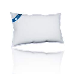 Sealy Natural Comfort Pillow