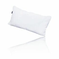 Sealy EverCool Pillow