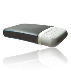 Sealy EverCool Pillow